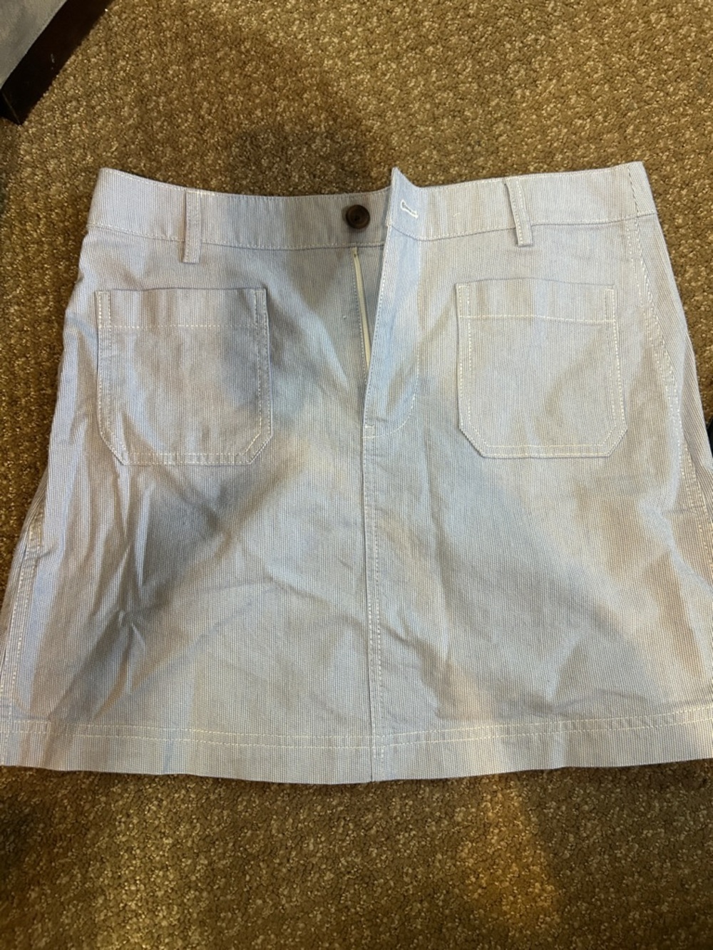 J. Crew Light Blue Striped Mini Skirt